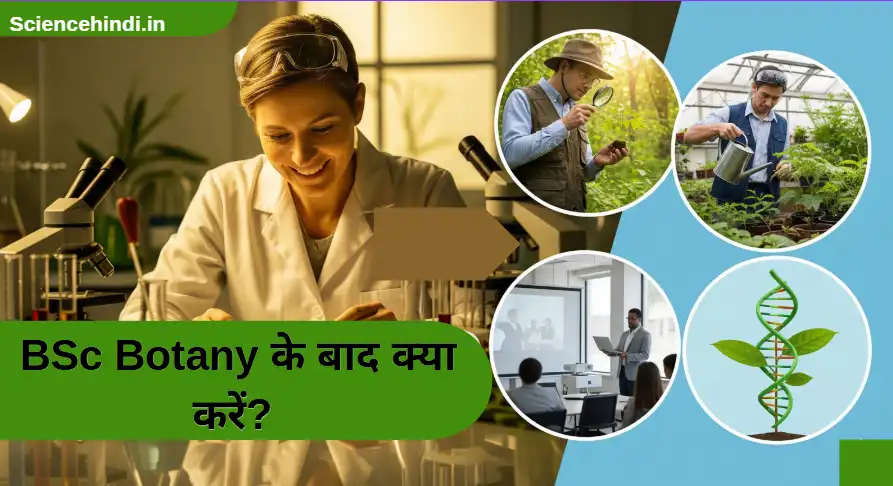 BSc Botany के बाद क्या करें? [2026] - टॉप कोर्स और जॉब्स