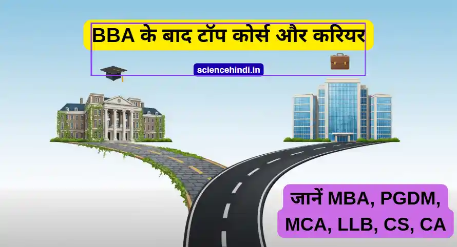 BBA के बाद कौनसा कोर्स करें? [2026] - टॉप कोर्स, जॉब्स और सैलरी